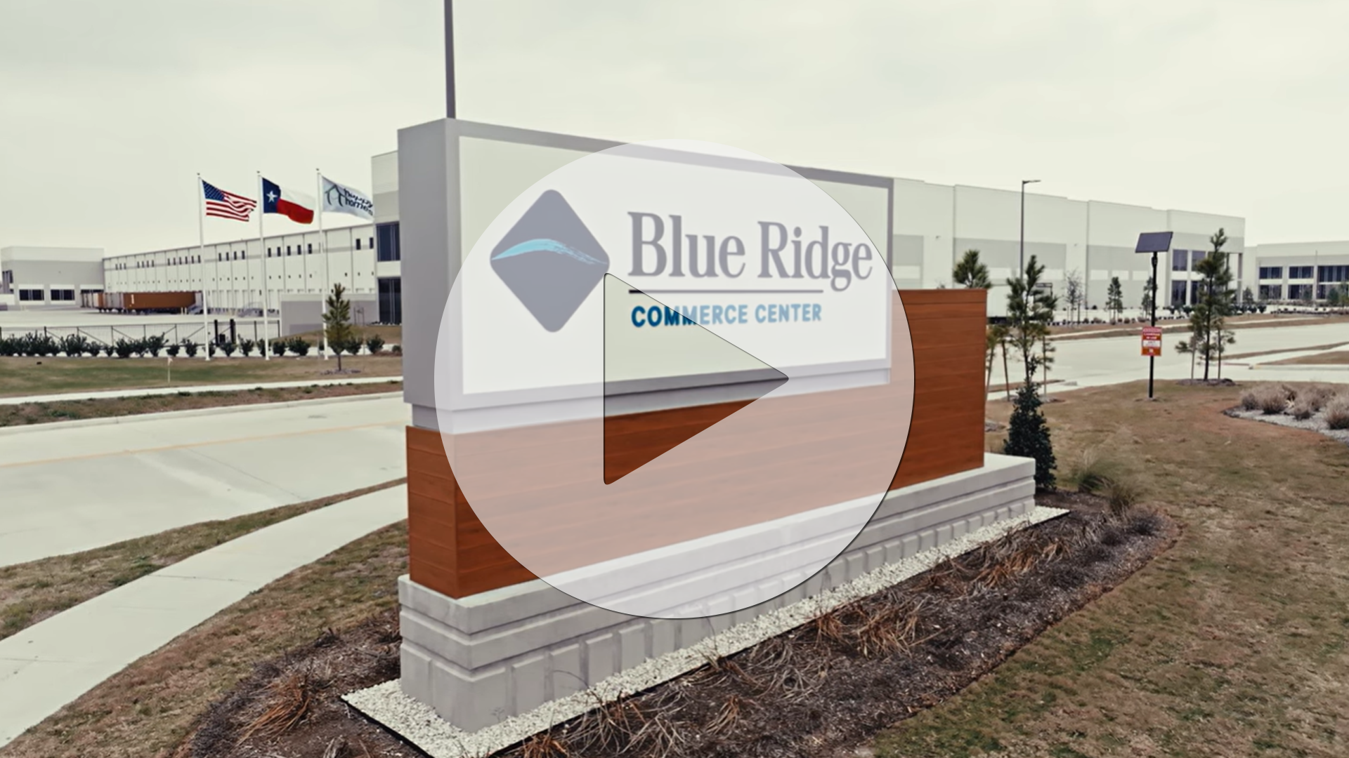 Project Profile Play Button